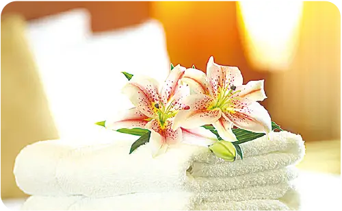 低ホルムアルデヒド仕様 シックハウス症候群対策